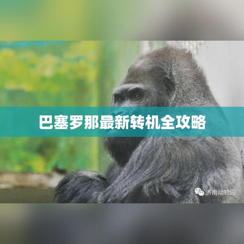 巴塞罗那转机指南，最新全面攻略