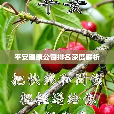 平安健康公司深度排名解析