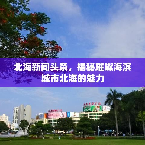 北海新闻揭秘，海滨明珠璀璨魅力