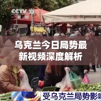 乌克兰局势最新视频深度解析报道