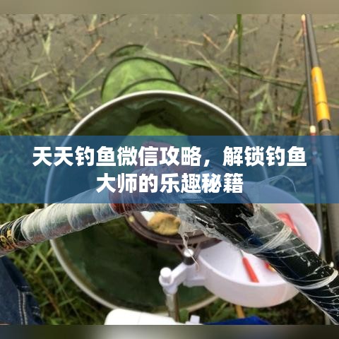 新乡正鑫化工分享，天天钓鱼微信攻略，钓鱼大师秘籍解锁！