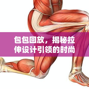 包包回放，揭秘拉伸设计引领的时尚新潮流