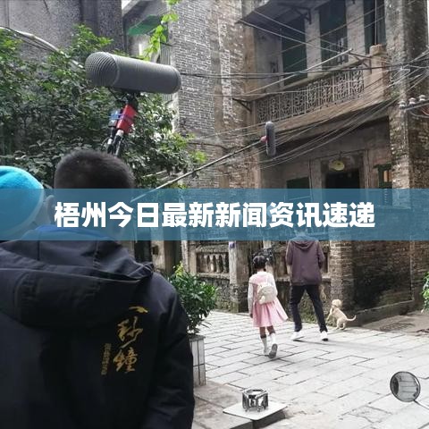 梧州今日最新新闻资讯速递