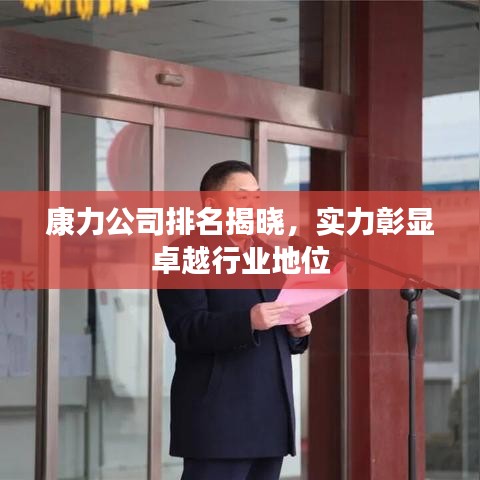 康力公司排名揭晓，实力彰显卓越行业地位