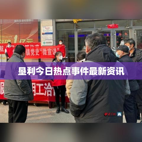 纲挈目张 第11页