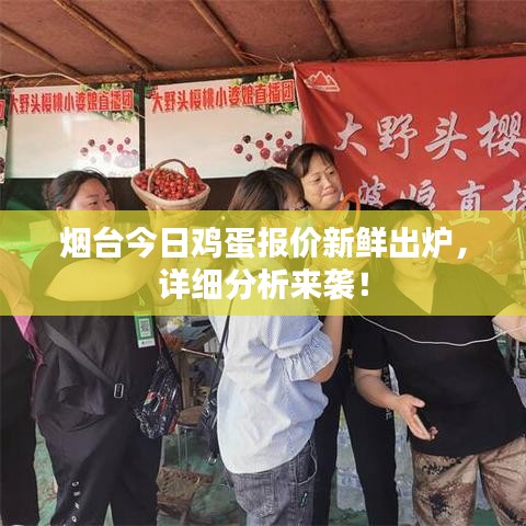 烟台今日鸡蛋报价新鲜出炉，详细分析来袭！