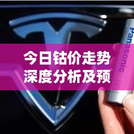 今日钴价走势深度分析及预测