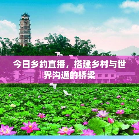 今日乡约直播，搭建乡村与世界沟通的桥梁