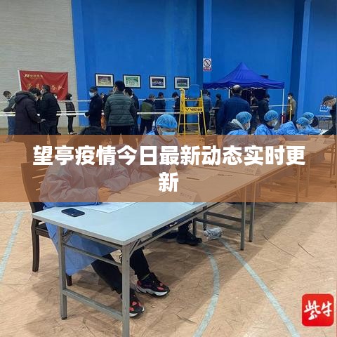 望亭疫情今日最新动态实时更新