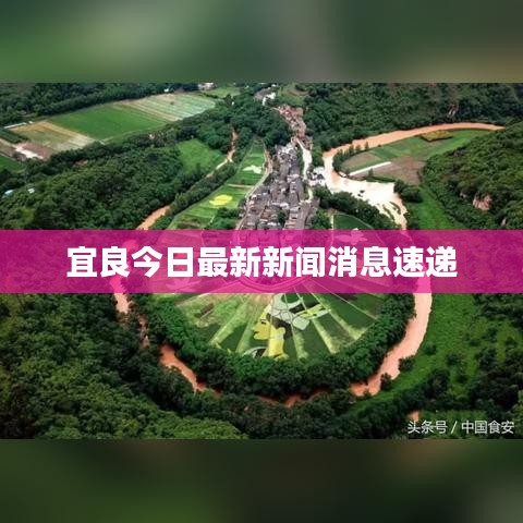 宜良今日最新新闻消息速递