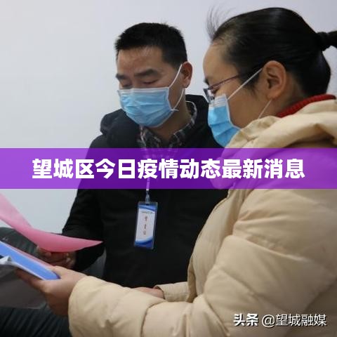 望城区今日疫情动态最新消息