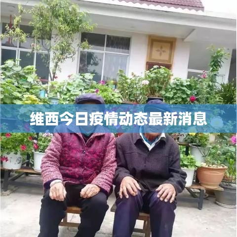 维西今日疫情动态最新消息