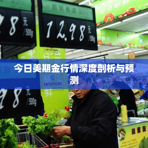 今日美期金行情深度剖析与预测
