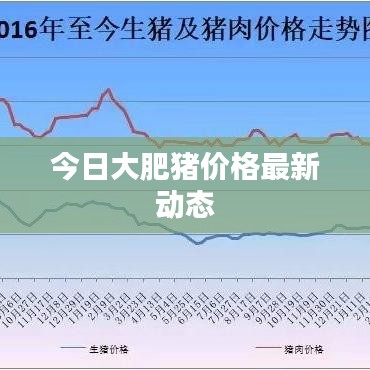 今日大肥猪价格最新动态