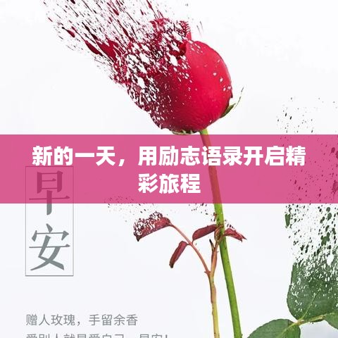 新的一天，用励志语录开启精彩旅程