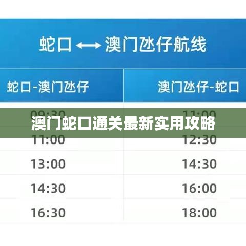 澳门蛇口通关最新实用攻略