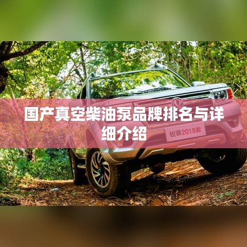 国产真空柴油泵品牌排名与详细介绍