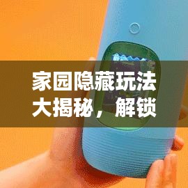 家园隐藏玩法大揭秘，解锁全新乐趣与惊喜攻略