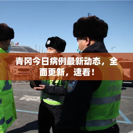 青冈今日病例最新动态,全面更新,速看!