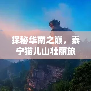 探秘华南之巅，泰宁猫儿山壮丽旅游攻略