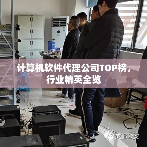 计算机软件代理公司TOP榜，行业精英全览