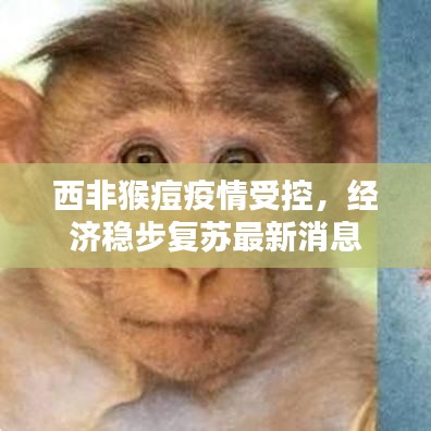 西非猴痘疫情受控，经济稳步复苏最新消息