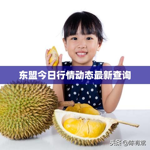 东盟今日行情动态最新查询