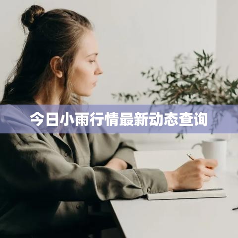 今日小雨行情最新动态查询