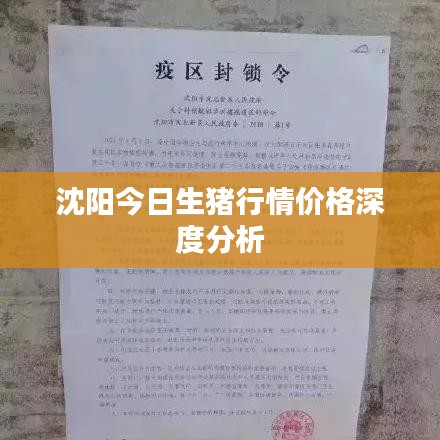 沈阳今日生猪行情价格深度分析