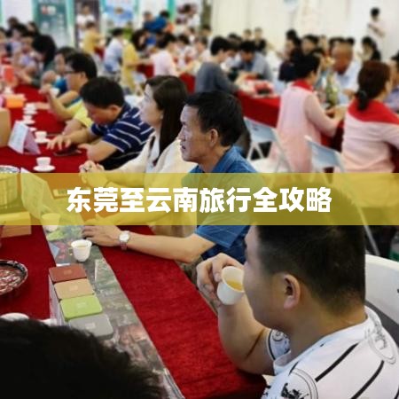 东莞至云南旅行全攻略