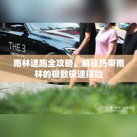 雨林速跑全攻略，解锁热带雨林的极致极速探险