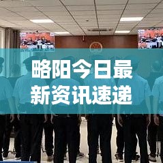 略阳今日最新资讯速递