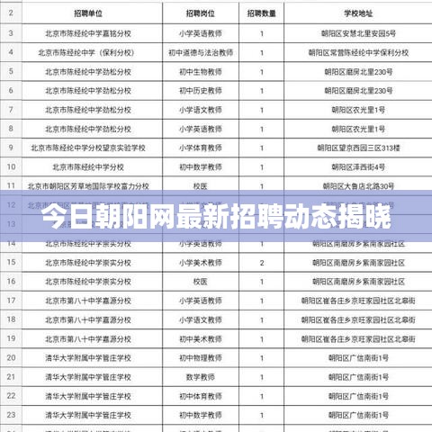 今日朝阳网最新招聘动态揭晓