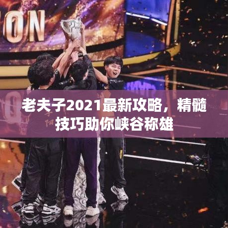 老夫子2021最新攻略，精髓技巧助你峡谷称雄