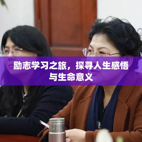 励志学习之旅，探寻人生感悟与生命意义