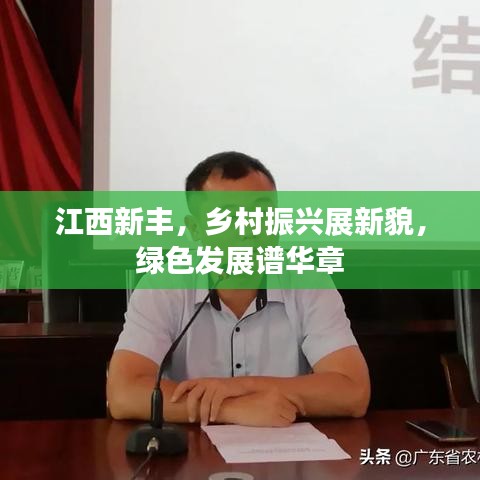 江西新丰,乡村振兴展新貌,绿色发展谱华章