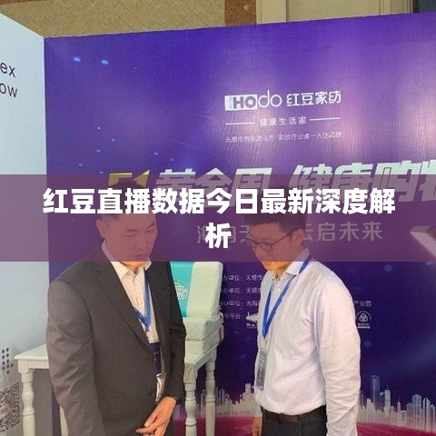 红豆直播数据今日最新深度解析