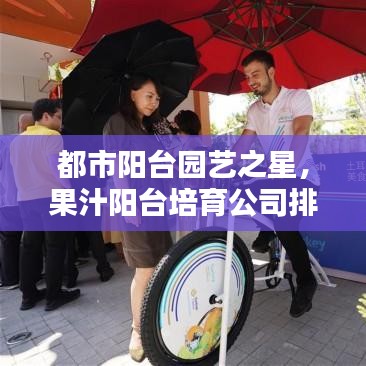 都市阳台园艺之星，果汁阳台培育公司排名揭晓