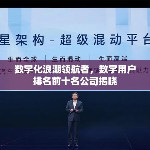 数字化浪潮领航者,数字用户排名前十名公司揭晓