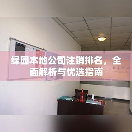 绿园本地公司注销排名，全面解析与优选指南