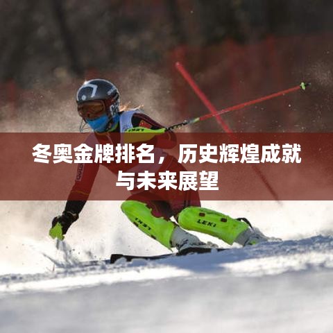 冬奥金牌排名,历史辉煌成就与未来展望