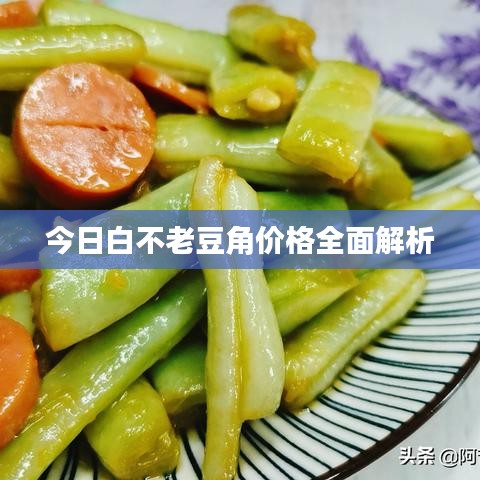 今日白不老豆角价格全面解析