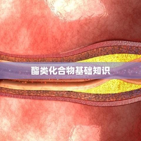 酯类化合物入门知识详解