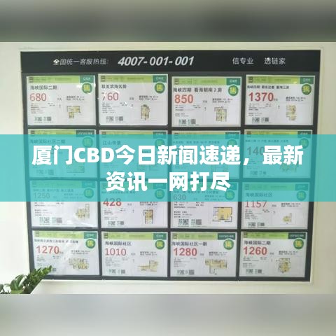 厦门CBD今日新闻速递，最新资讯一网打尽