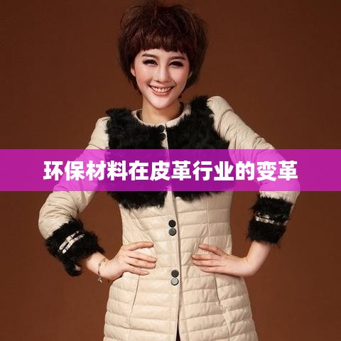 环保材料革新皮革行业，变革之力展现未来