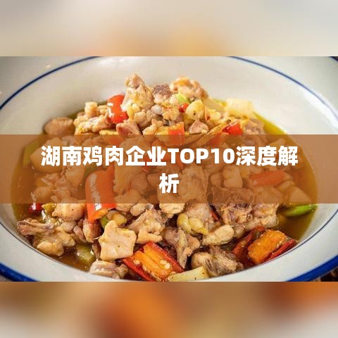 湖南鸡肉企业TOP10深度解析
