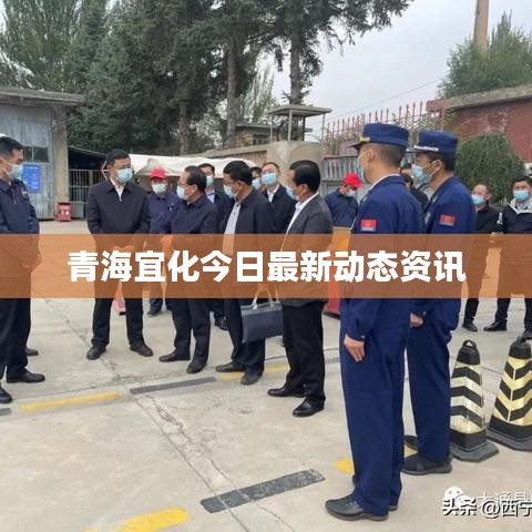 青海宜化今日最新动态资讯