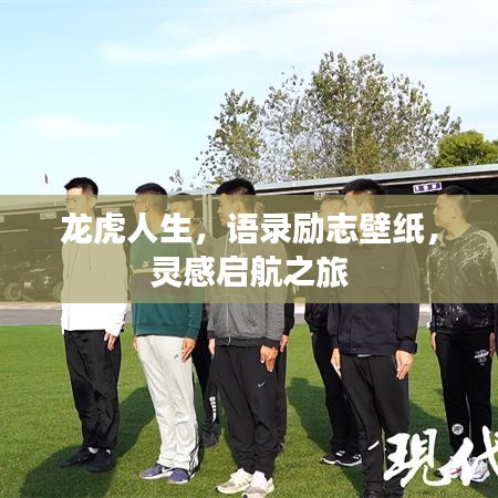 龙虎人生，语录励志壁纸，灵感启航之旅