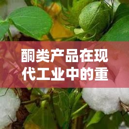 酮类产品于现代工业中的关键作用与地位