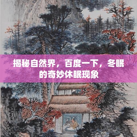 揭秘自然界，百度一下，冬眠的奇妙休眠现象